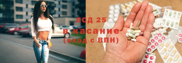 прущие грибы Ладушкин