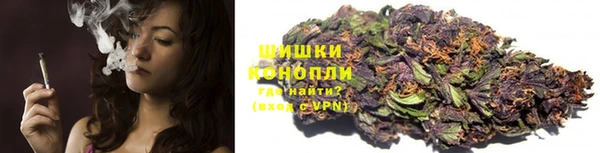 PSILOCYBIN Краснотурьинск