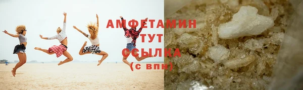 прущие грибы Ладушкин