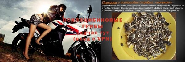 молекула духа Лабытнанги
