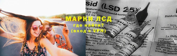 молекула духа Лабытнанги