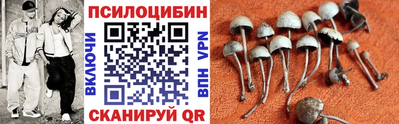 наркотики Ростов Галлюциногенные грибы ЛСД